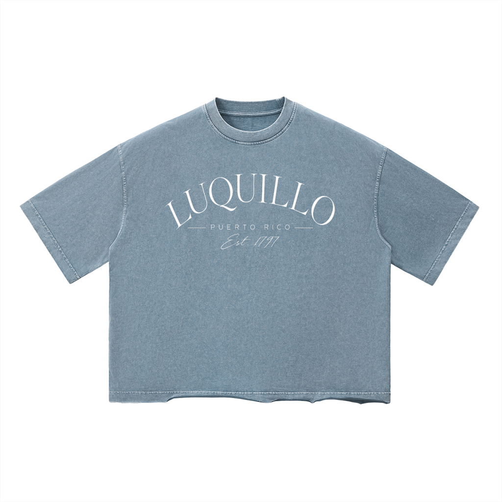 Luquillo Unisex Vintage Wash Boxy T-Shirt